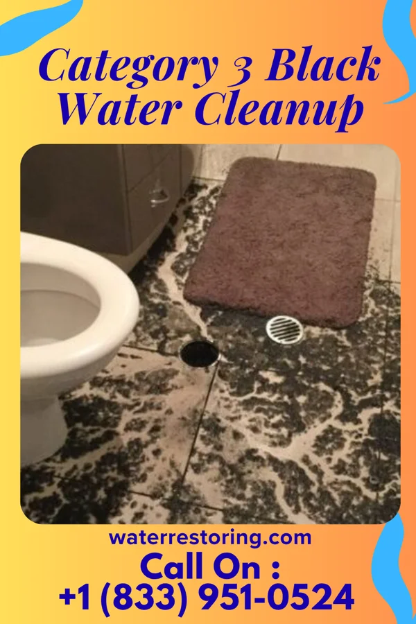 Category 3 Black Water Cleanup in Dayton, WY
