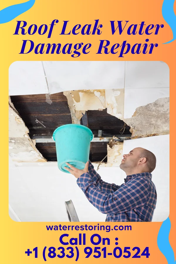 Roof Leak Water Damage Repair in Dayton, WY